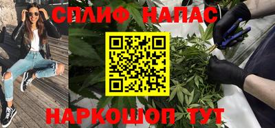 ешки Новозыбков