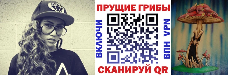 купить наркотики цена  Северобайкальск  Галлюциногенные грибы GOLDEN TEACHER 