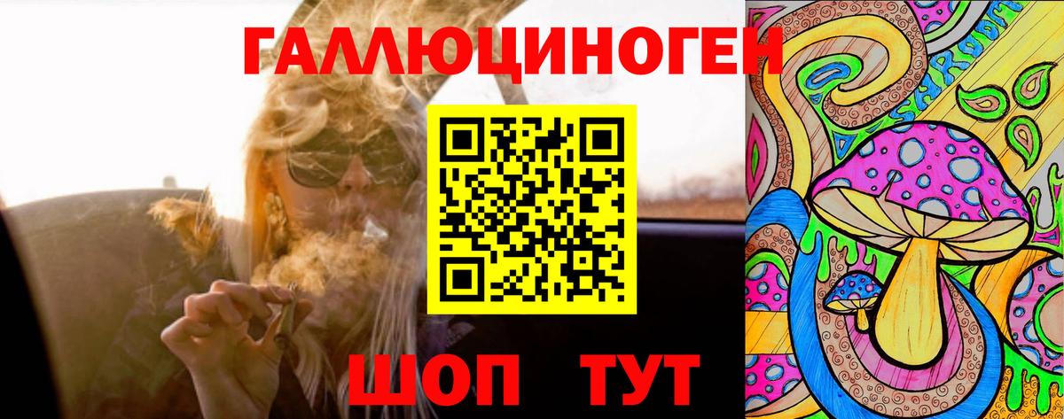 Псилоцибиновые грибы прущие грибы  Псилоцибиновые грибы ЛСД  Вход с VPN  Северобайкальск 