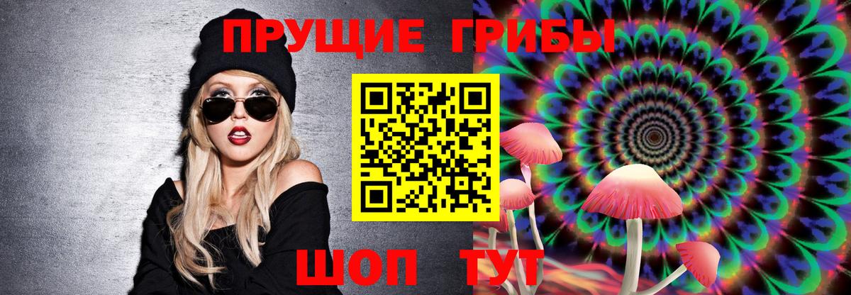 Галлюциногенные грибы мухоморы Северобайкальск